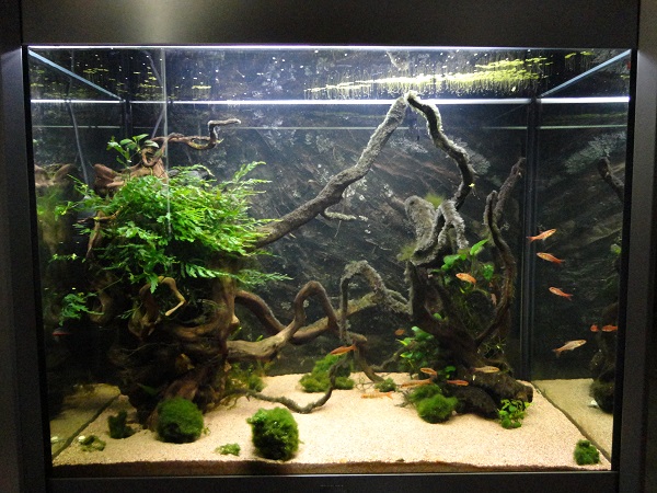 230l.jpg