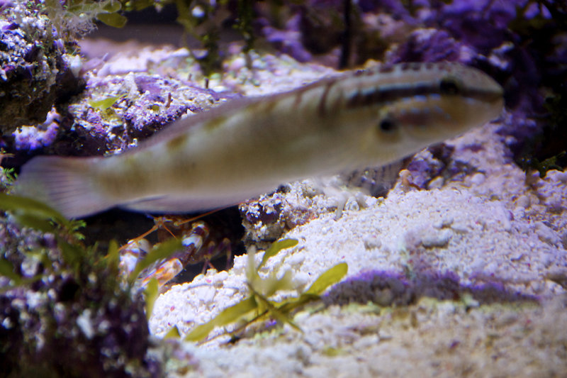 IMG_8142.jpg