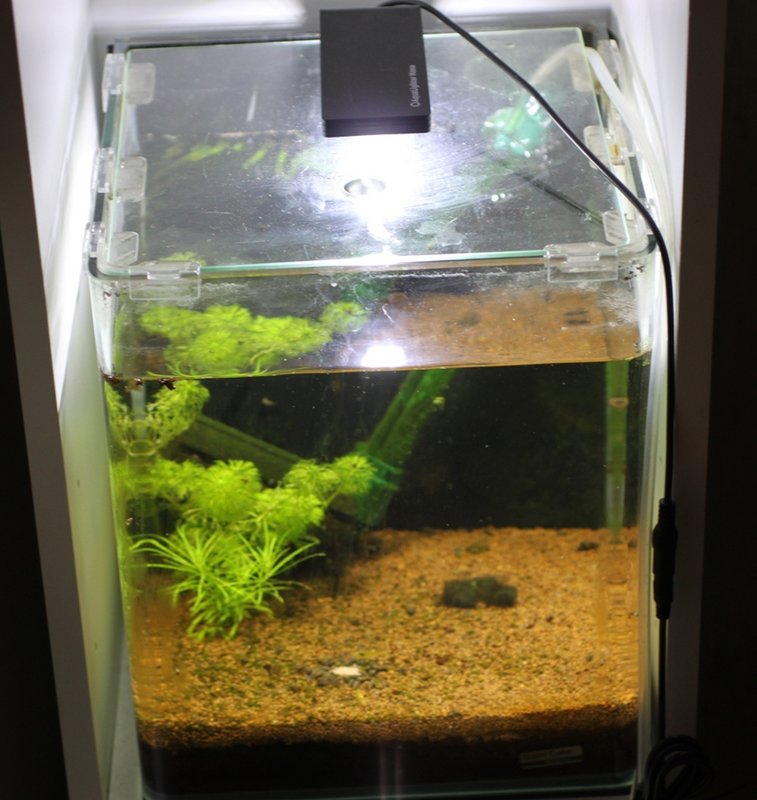 20L NANO.JPG