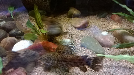 WP_20150210_020m.jpg