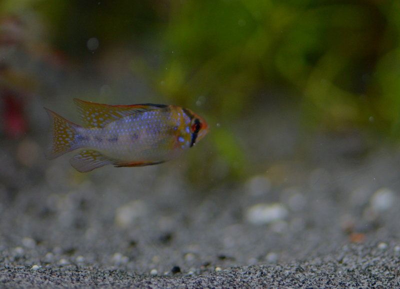 DSC_7176.JPG