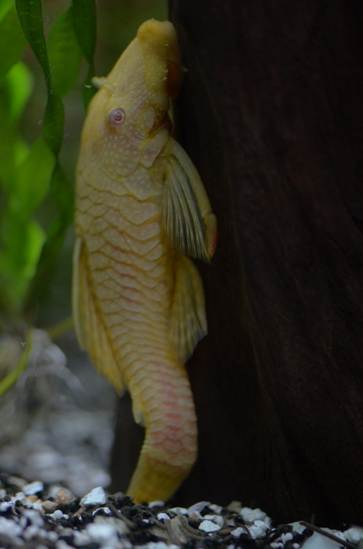 DSC_7318.JPG