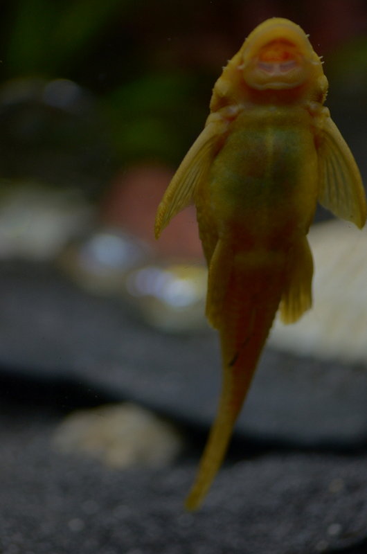 DSC_7327.JPG