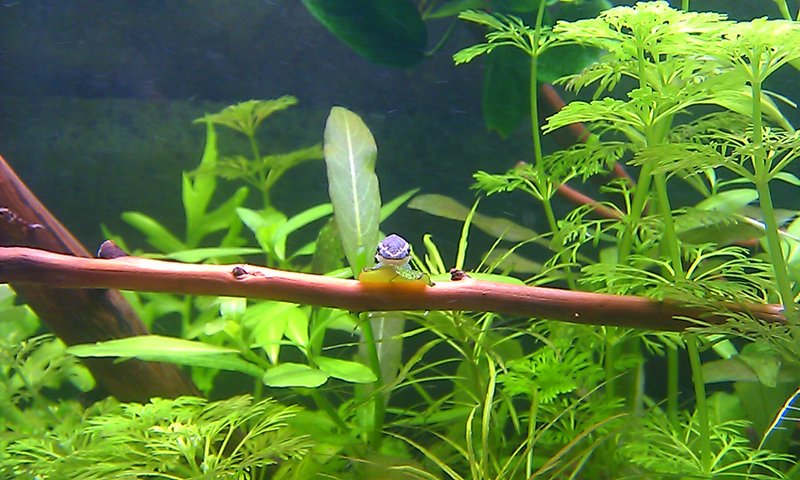 IMAG2104.jpg