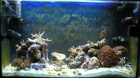 Akklimaatio menossa, sen takia kuvassa näkyy tippaletkuja...