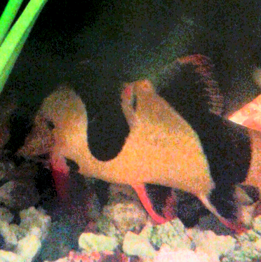 2015-03-07 09.14.23.png