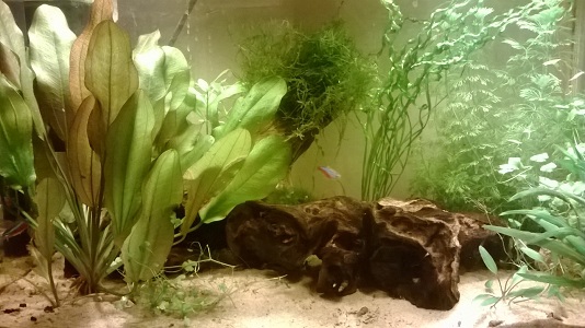 WP_20150322_008m.jpg