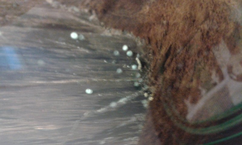 20150323_152856.jpg