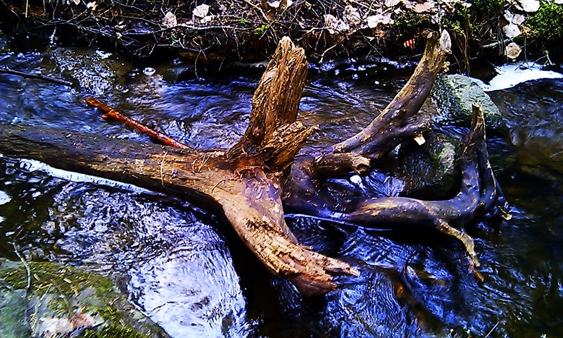 IMAG2318.jpg