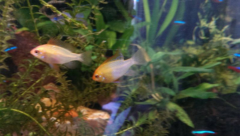 IMAG0582.jpg