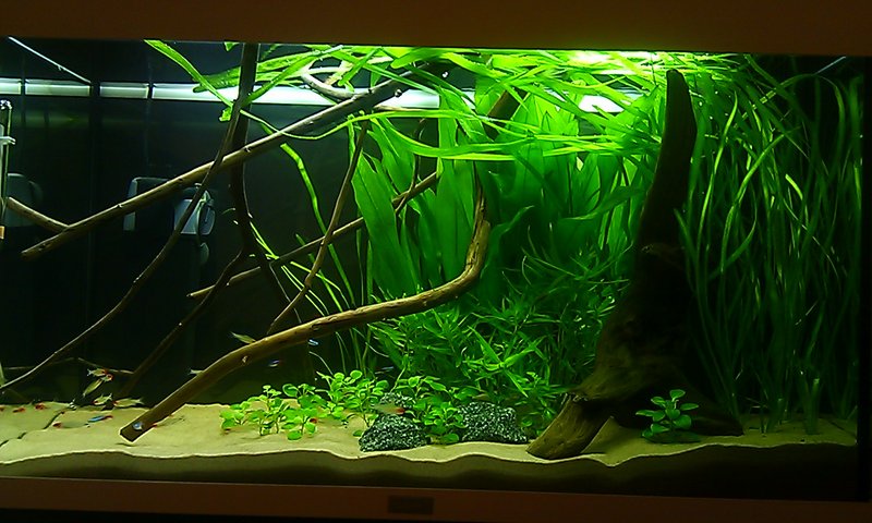 IMAG2443.jpg