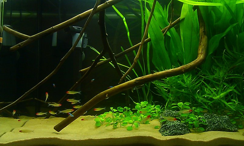 IMAG2445.jpg