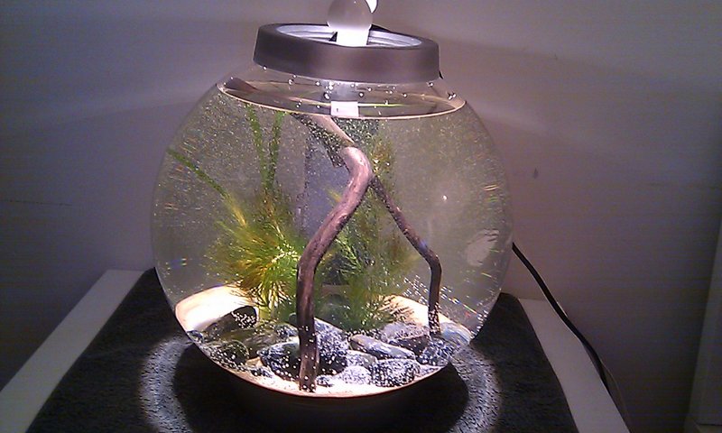 IMAG2532.jpg (273.43 KiB) Katsottu 3062 kertaa Pysyihän tuo.