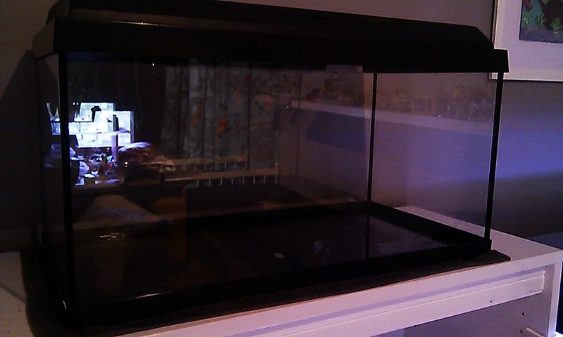 IMAG2552.jpg (177.79 KiB) Katsottu 2881 kertaa Paikka on passeli