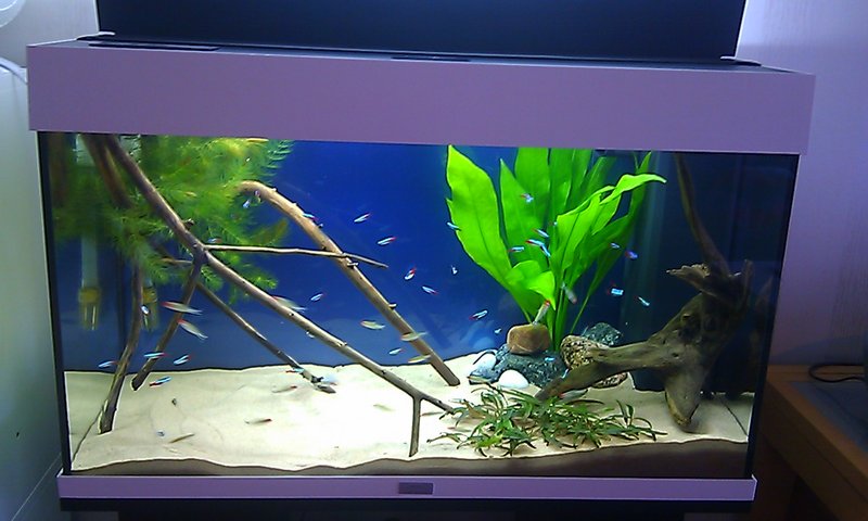 IMAG2583.jpg