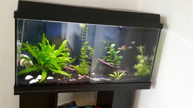 2015-07-22 17.25.07.jpg