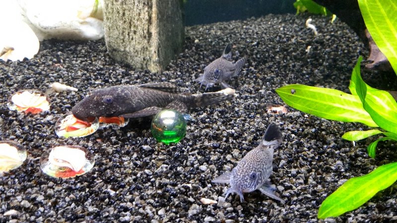 2015-09-17 18.35.29.jpg