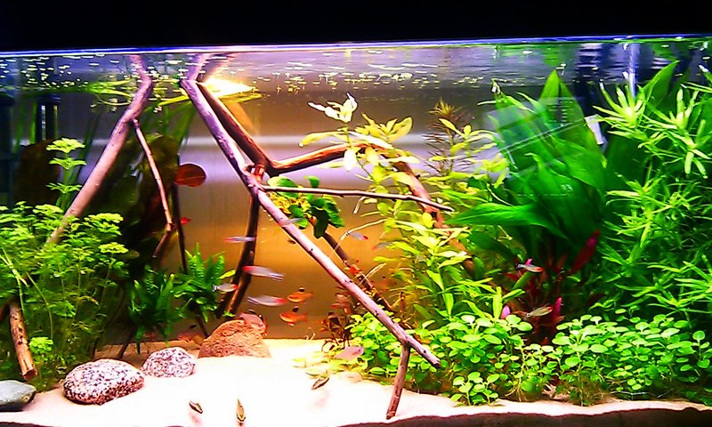 IMAG2205.jpg