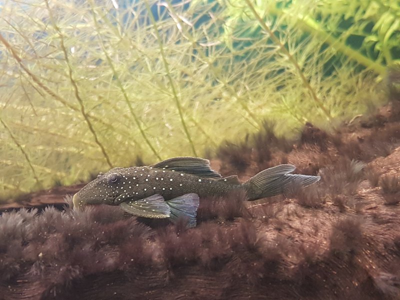 20161104_180617_Fotor.jpg