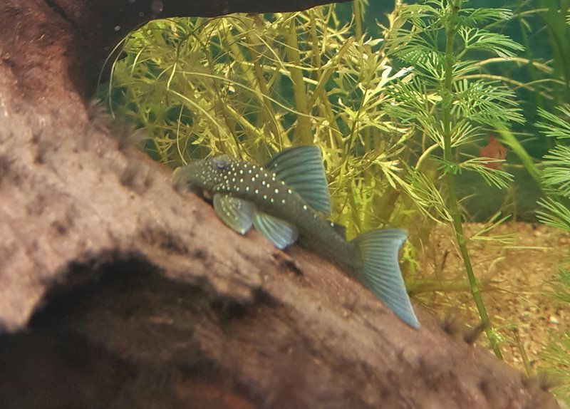 20161104_181401_Fotor.jpg