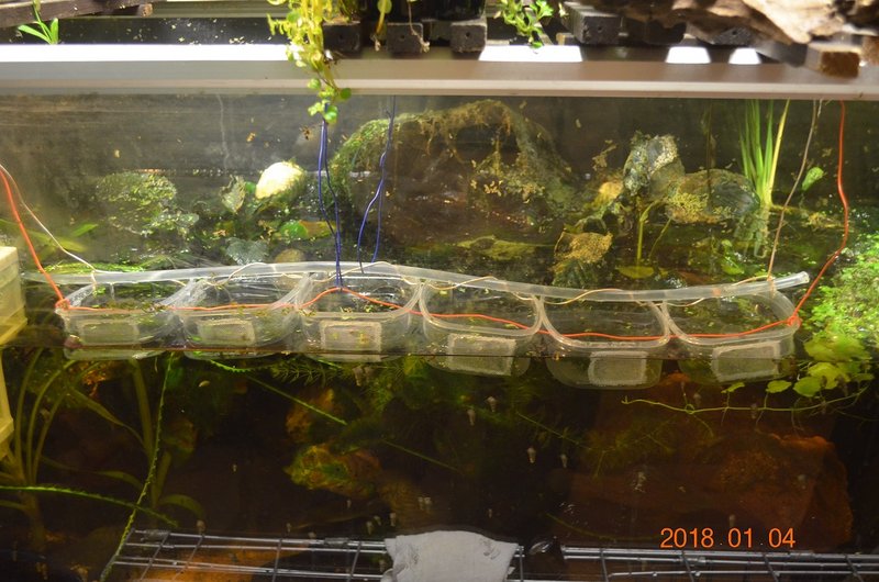 DSC_0850.JPG (398.26 KiB) Katsottu 14335 kertaa Rivi "lastenhuoneita".