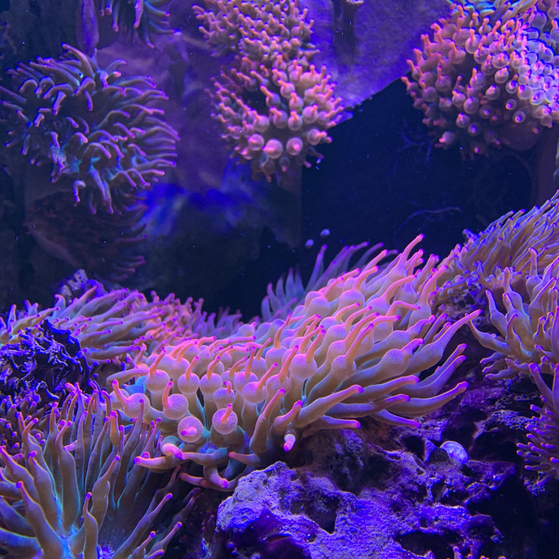 0614BD46-F5A7-40DB-8369-44B23C339F4E.jpeg