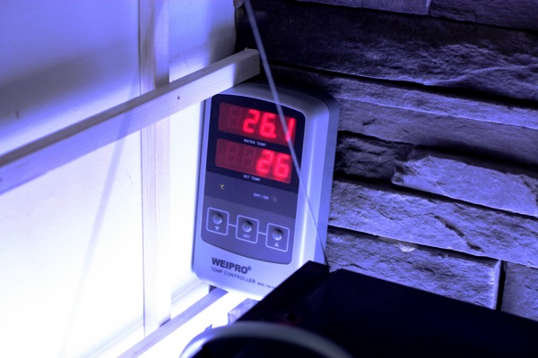 Lämmitinyksikkö erillisellä anturilla. Alempi on lämmittimen kytkentäraja ja ylempi veden lämpötila.