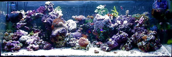21.2.2010