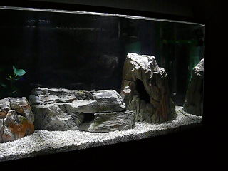 P1040393.JPG