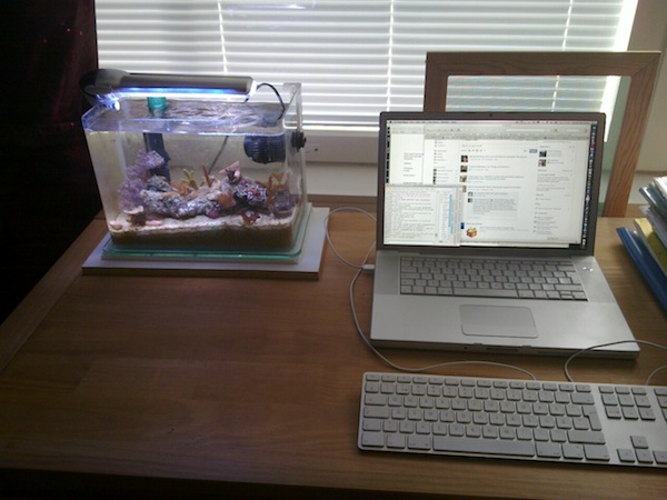 20100529_001.jpg