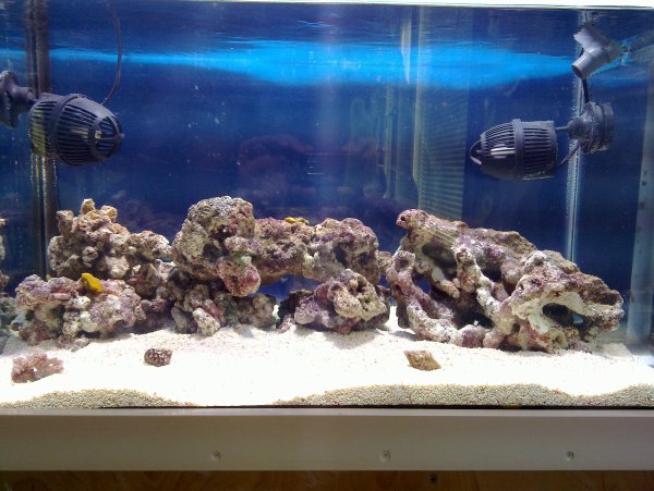 FTS