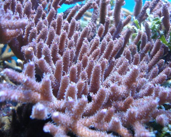 DSC03159b.JPG
