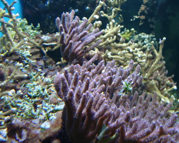 DSC03167a.JPG