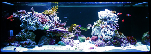 140x70x55cm
