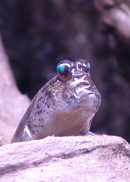 DSC08475.JPG