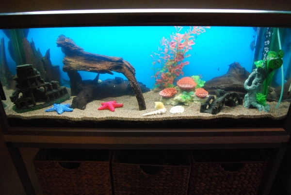 aquarium 003.jpg