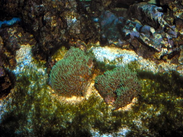CIMG0493.JPG