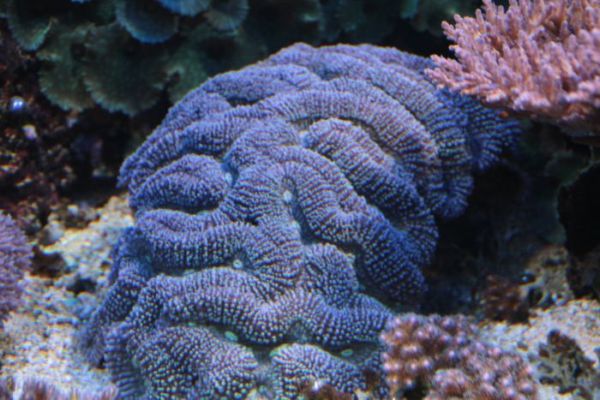 IMG_3847o.jpg
