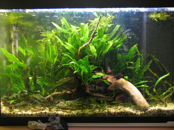 70 l
