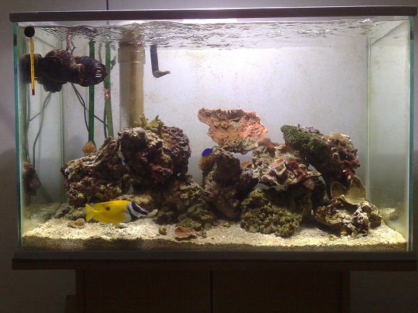 Siirsin srteamit samaan reunaan ja virta vaikuttaisi olevan aika hyvä. saa nähdä jääkö näin.