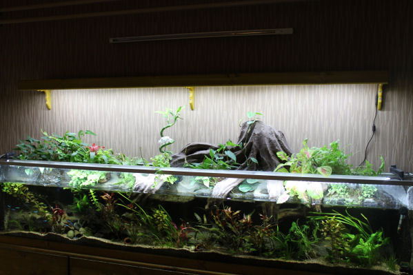 Led 60w.jpg