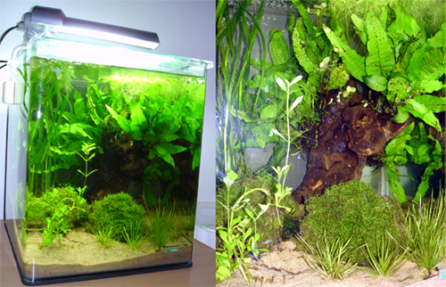 Nano 30l
