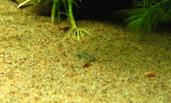 IMG_6052.jpg