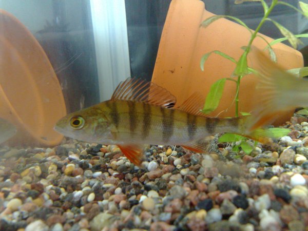 26032011168.jpg
