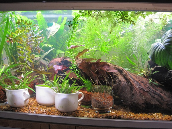 85l.jpg