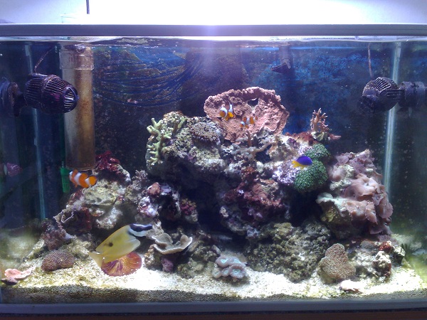 Tässä on tilanne tänään