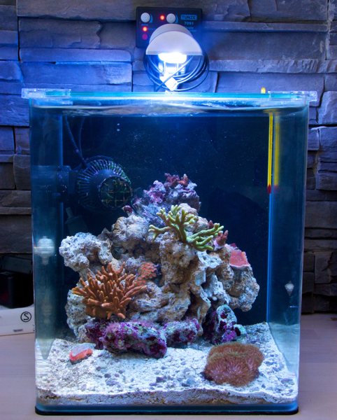 30l