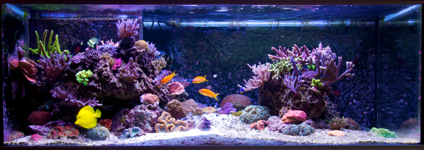 540l