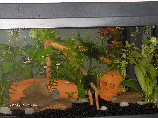 salamalla, tulee ihmeellisen näköinen! :D